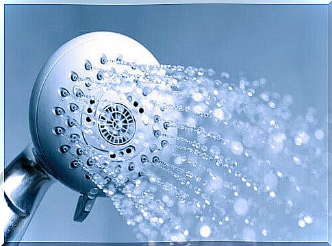 Shower head