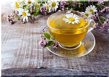 Chamomile infusion 