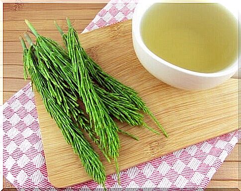 horsetail to treat the appearance of your stretch marks