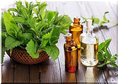 Peppermint Oil Helps Heal Oral Sores 