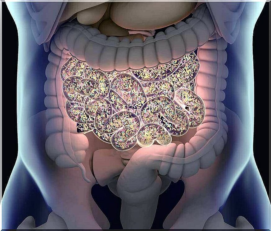 Find a good microbiota after taking antibiotics