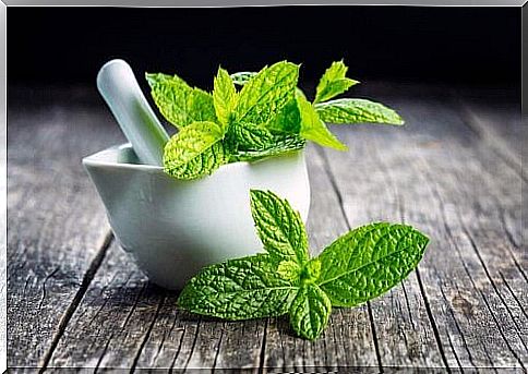 properties of mint tea for health