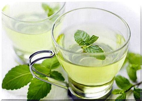 mint tea for halitosis