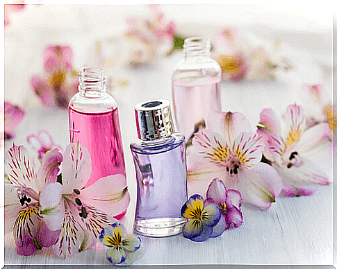 conventional beauty products - perfumes 