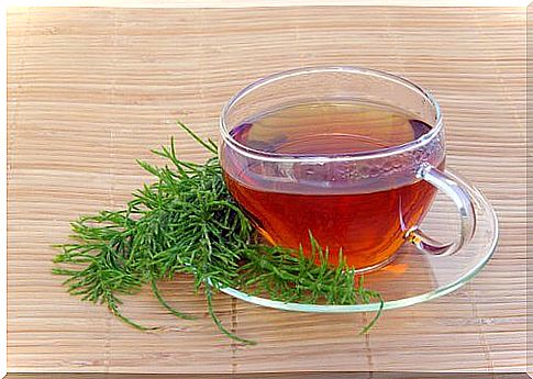 herbal remedies to detoxify the kidneys: horsetail