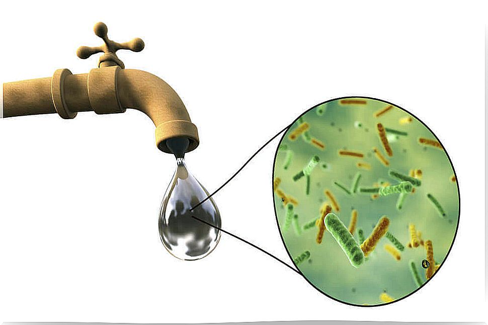 causes of intestinal infection