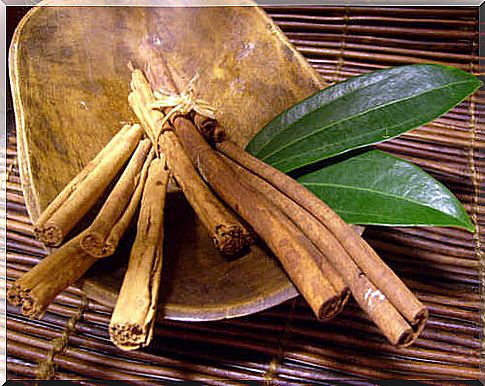 cinnamon and bay leaf