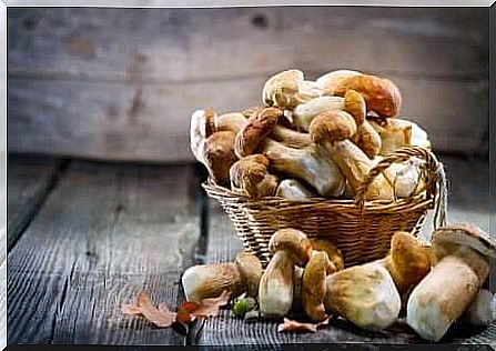 Mushrooms on a table.