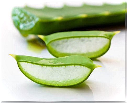 natural remedies to reduce stretch marks, aloe vera