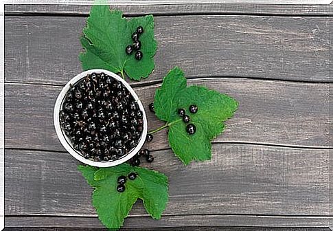 currants to treat scars