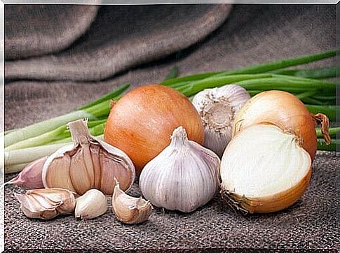 onion and garlic soup recipe