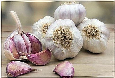 properties of garlic against fleas and ticks