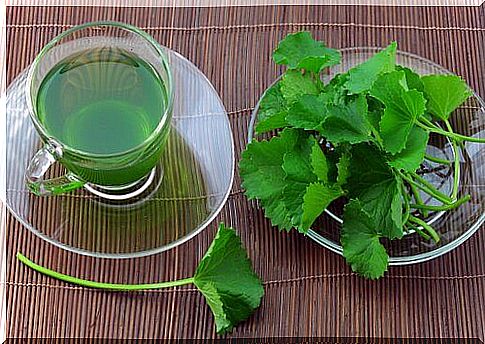 Celery seeds to treat inflamed legs