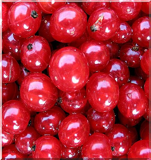 Cranberries 