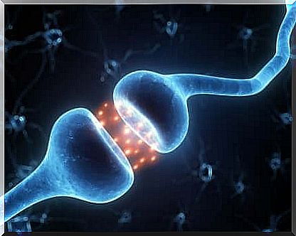 Myelin responsible for transmitting nervous information. 