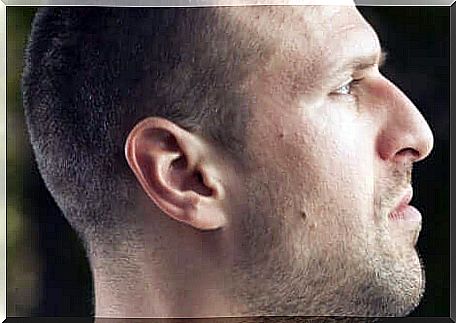 Face of a nose in profile with an aquiline nose. 